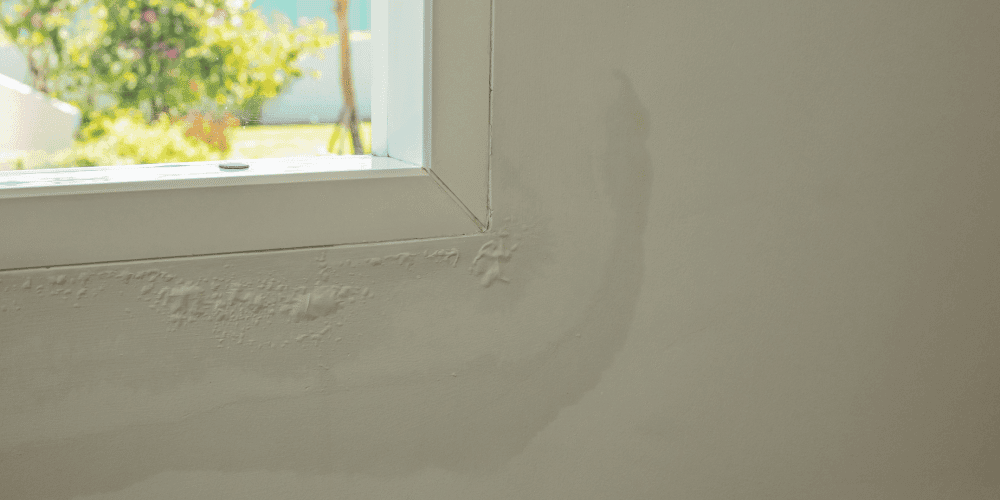 leaky window damage